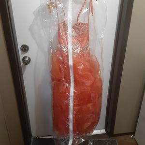 Prom/Pageant Gown